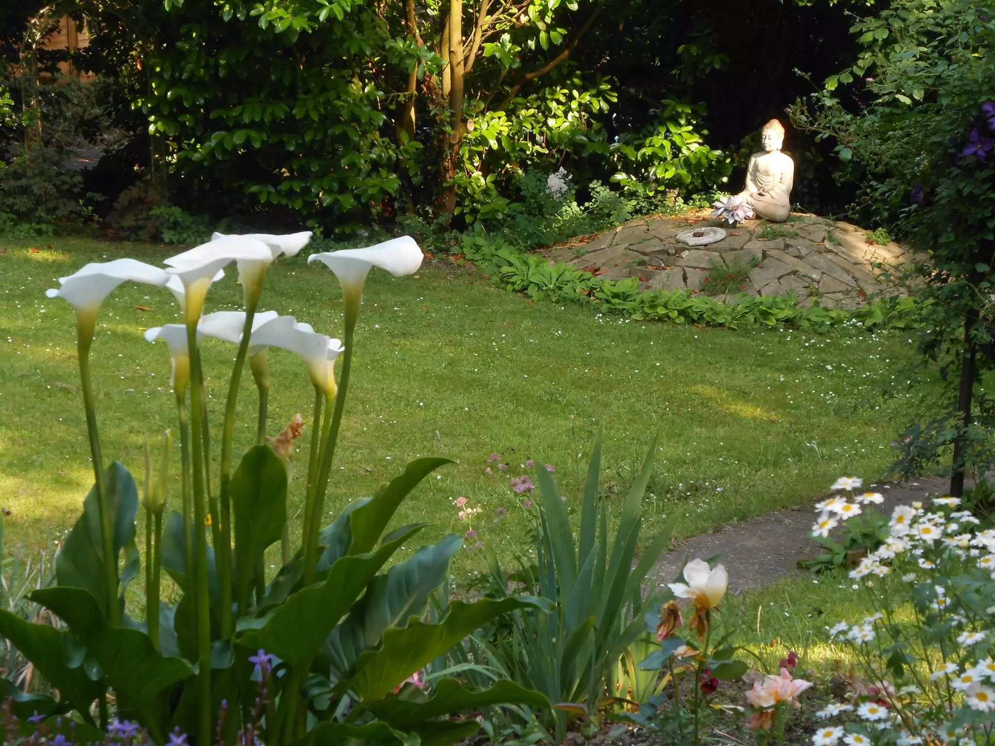 A view of the Tranquil Garden